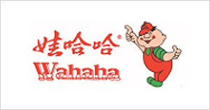 娃哈哈集团